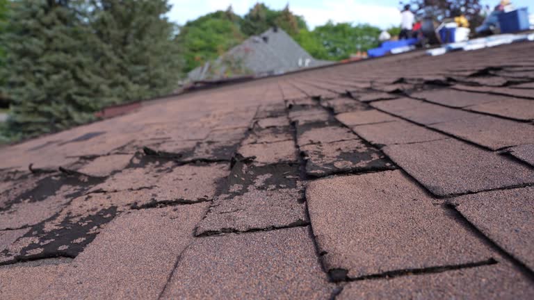 Best Roof Installation  in USA